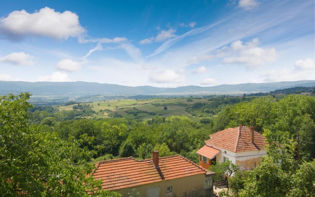 Affittacamere Irina Soko Banja Esterno foto